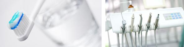 ZFG Website Header Fachgesellschaften