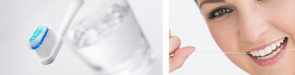 ZFG Website Header Propylaxe neu