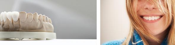 ZFG Website Header Service