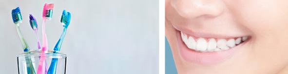 ZFG Website Header Leistungen