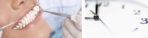 ZFG Website Header Oeffnungszeiten
