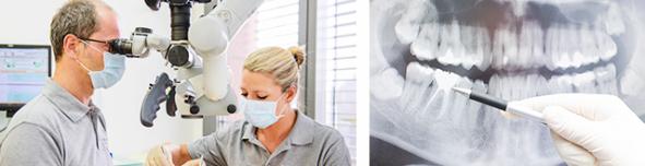 ZFG Website Header Wurzelkanalbehandlung neu